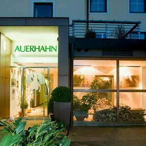 3* Pensión Restaurant Auerhahn